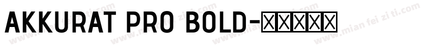 AKKURAT PRO BOLD字体转换